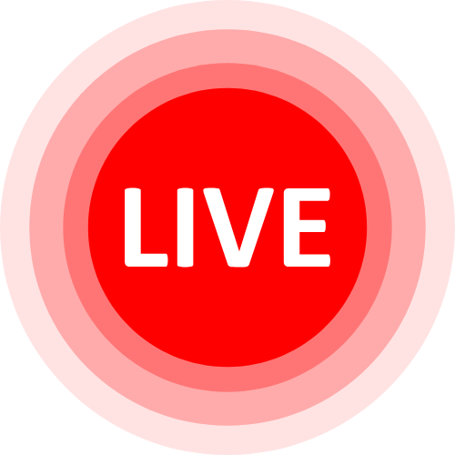 Bluecam Com